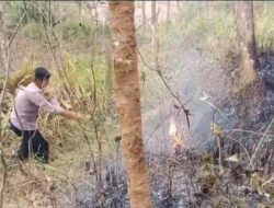 Bhabinkamtibmas Polsek Sidareja Berhasil Padamkan Kebakaran Kebun Jati