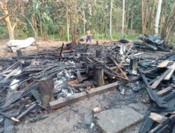 Rumah Panggung Desa Kepur Ludes di Lalap Api