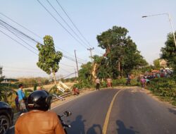 Polsek Tomo Polres Sumedang dibantu Warga Membersihkan Pohon Tumbang yang Menghalangi Jalan Raya