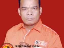 Ronsen Jaya Sinaga; Aktivis Sumatera Utara Maju jadi Salah Satu Bursa Calon Legislatif