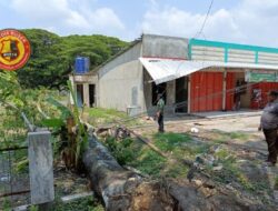 Pohon Randu Di Randublatung Roboh Timpa Mushola Dan Ruko, Bupati : Meminta BPBD Antisipasi Bencana.
