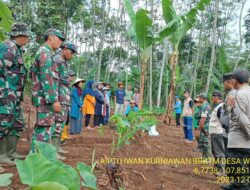 Polsek Tanjungmedar Polres Sumedang, Sinergitas TNI-Polri Hijaukan Tanjungmedar: 200 Pohon Ditanam demi Kelestarian Lingkungan