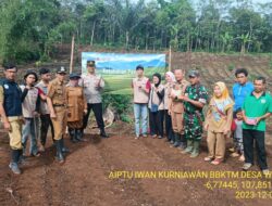 Kapolsek Tanjungmedar IPTU HAJID ABDULAH, SH mengikuti Kegiatan Penanaman Jagung Starbak (Satu Hektar Petani Bangkit) dalam Rangka Program KKN Tematik LLDIKTI 