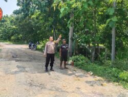 Imbau Warga Pangkas Pohon Yang Rindang, Bhabinkamtibmas Polsek Sambong Antisipasi Pohon Tumbang