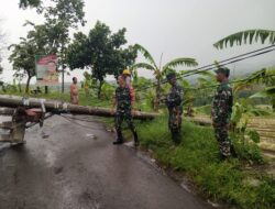 Di sapu angin kencang ,telah terjadi tiang listrik roboh yang menutup ruas jalan Raya Pasirhuni – Tanjungmedar ,