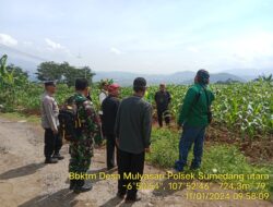 Koordinasi penentuan lokasi untuk penanaman 1000 pohon ditanah TKD Desa Mulyasari Kecamatan Sumedang Utara Kabupaten Sumedang