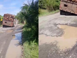 Sebuah Mobil Truk Bermuatan Kelapa Sawit Oleng Dan Tersangkut Dalam Lobang Di Jalan Lintas Meulaboh Geumpang.