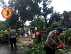 Hujan Deras di Sertai Angin kencang Menerjang Wilayah Kabupaten Kudus