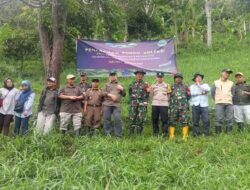 Koramil 1004 Tanjungsari, kembali Menanam Pohon di Gunung Manglayang