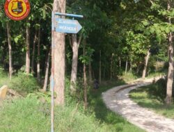 Asal Usul Nama Jalan Soerodjo Merdeka, di Desa Nglarohgunung