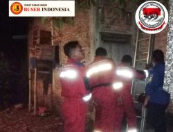 Tim RESCUE Damkar Kabupaten Bekasi Eksekusi Sarang Tawon Jenis Afinis Mematikan