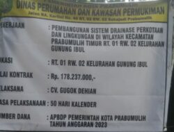 Beberapa Siluman Masih Tetap Bekerja Di Proyek Pembangunan Kota Nanas,