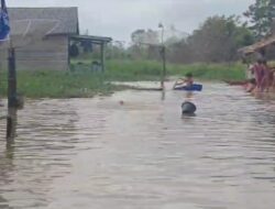 Warga Dusun Talang Gunung Desa Talang Batu Di Kepung Banjir : Pemerintah Daerah Mesuji Di Duga Tutup Mata