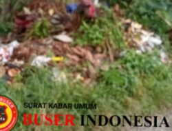 Butuh Perhatian Pemerintah Sampah Menumpuk Timbulkan Bau Busuk Dikeluhkan Warga