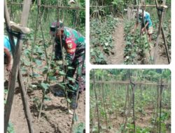 Serka M. Hatta Giat Lakukan Komsos Di Wilayah Binaannya Di Desa Tanjung jati.