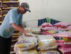 Harga Beras Mulai Turun Untuk Wilayah Sumsel