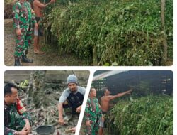 Dukung Ketahanan Pangan di Bidang Peternakan, Babinsa Sambangi Peternakan Kambing Di Wilayah Binaannya