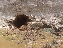 Proyek Pemeliharaan Saluran Irigasi BBWS Citanduy OP II Wanareja Cilacap Terkesan Asal Jadi