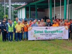 PAMA Aria bersama PT.ARUTMIN indonesia Serahkan Hewan Korban Idul Adha 1445H Forkopimcam Kecamatan Satui