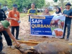 H.Deden bersama Anggota DPRD Hj.Ernawati Potong Hewan Korban 1445H Untuk dibagikan kemasyarakat Sekitar.