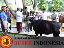 Warga Korem 044/Gapo Sembelih Hewan Qurban Setelah Shalat Idul Adha