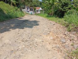 Jalan Kabupaten di Desa Lewibatu Rumpin Rusak Parah, Bupati Terkesan Tutup Mata