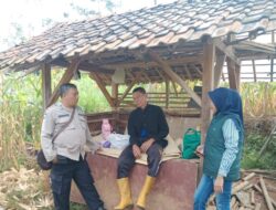 Kanit Binmas / Bhabinkamtibmas Desa Cipanas Sambangi ketua Gapoktan Hanjuang VI Desa Cipanas