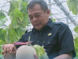 Komoditas Pertanian Purwakarta Mendorong Setiap Desa Memiliki Produk Unggulan