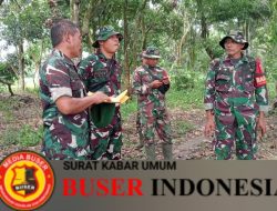 Danramil Kota Prabumulih Melaksanakan Pengecekan Medan Optimasi Lahan (Oplah)