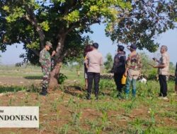 Kakek 62 Tahun di temukan Bunuh diri di Kebun Jagung