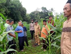 Brigadir Riri T Pratama Laksanakan Kegiatan Sambang Silaturahmi Kamtibmas kepada Kelompok Tani Wargi Saluyu V Desa Jatimulya Dalam Rangka Quick Wins Presisi
