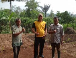 Kapolsek Tanjungmedar Laksanakan Penanaman Jagung Bersama UPTD Pertanian untuk Dukung Ketahanan Pangan