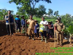 Kegiatan Penanaman Bibit Padi Gogo UPTD Pertanian dalam Rangka Ketahanan Pangan di Wilayah Kecamatan Tanjungmedar, Kabupaten Sumedang