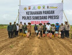 Pelaksanaan Penanaman Jagung Hibrida Dalam Rangka Ketahanan Pangan Polres Sumedang