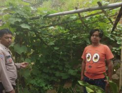 Bhabinkamtibmas Desa Sirnamulya Laksanakan Sosialisasi Pemanfaatan Pekarangan Rumah untuk Peternakan atau Pertanian