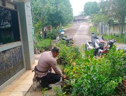 Aiptu Dody Ramayana S. Sos., M.M. Laksanakan Sosialisasi Pemanfaatan Pekarangan Rumah Untuk Pertanian Terbatas Dalam Rangka Mendukung