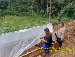 Monitoring Pembibitan Tanaman Cabe dalam Program Ketahanan Pangan di Poktan Sukamanah