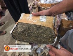 Polresta Bogor Kota Berhasil Bekuk Oknum Ojol Jadi Kurir Narkoba Jenis Ganja.