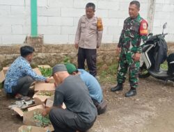 Kegiatan Pembagian Bibit Sayuran di Desa Wargaluyu untuk Dukung Swasembada Pangan