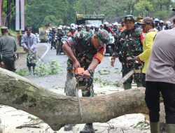 Hadapi Nataru, Aparat Gabungan TNI/Polri dan Pemda, Lakukan Penebangan Pohon di Jalur Cadas Pangeran