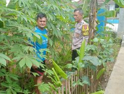 Bhabinkamtibmas Polsek Tanjungkerta Ajak Masyarakat Tanam Ketahanan Pangan