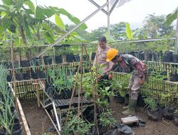 Bhabinkamtibmas Polsek Tanjungkerta Ajak Masyarakat Tanam Ketahanan Pangan