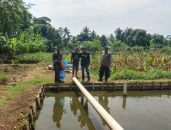 Kanit Binmas Bersama Babinsa Koramil Tanjungkerta Mendukung Percepatan Asta Cita Swasembada Pangan Melalui Pemanfaatan Lahan untuk Peternakan Lele di Desa Cipanas