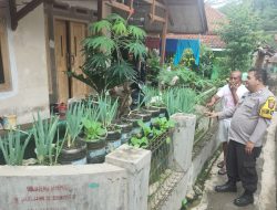 Bhabinkamtibmas Polsek Tanjungkerta Ajak Masyarakat Tanam Ketahanan Pangan