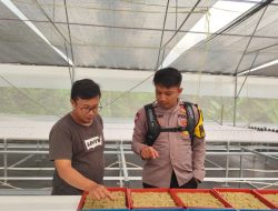 Bhabinkamtibmas Polsek Tanjungkerta Sambangi Kelompok Wanita Tani Mekar Mandiri dalam Persemayan Selada Hidroponik untuk Dukung Percepatan Swasembada Ketahanan Pangan