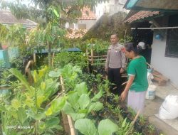 Bhabinkamtibmas Polsek Tanjungkerta Ajak Masyarakat Tanam Ketahanan Pangan