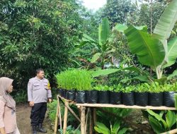 Bhabinkamtibmas Polsek Tanjungkerta Ajak Masyarakat Tanam Ketahanan Pangan