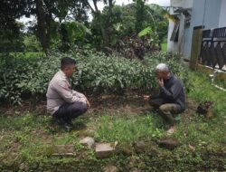 Bhabinkamtibmas Polsek Tanjungkerta Ajak Masyarakat Tanam Ketahanan Pangan