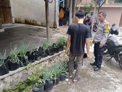 Bhabinkamtibmas Polsek Tanjungkerta Ajak Masyarakat Tanam Ketahanan Pangan