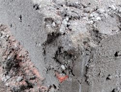 Proyek WC Puluhan Miliar Kabupaten Bengkulu Selatan diduga Jadi Ajang Korupsi 